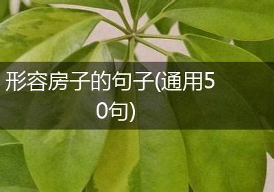 形容房子的形容詞